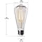 Feit Electric Feit ST19 E26 (Medium) LED Motion Activated Bulb Soft White 60 Watt Equivalence 1 pk ST19C927CAMFILD - alternate 7